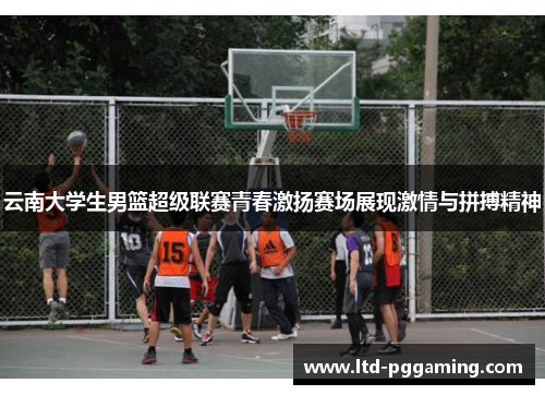 云南大学生男篮超级联赛青春激扬赛场展现激情与拼搏精神