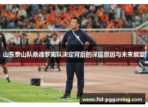山东泰山队桑德罗离队决定背后的深层原因与未来展望