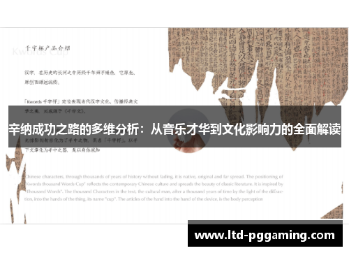 辛纳成功之路的多维分析：从音乐才华到文化影响力的全面解读