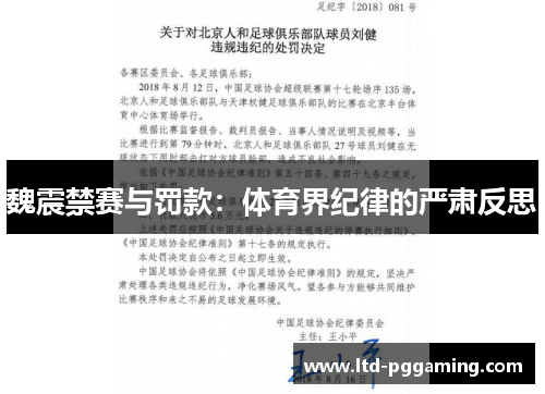 魏震禁赛与罚款：体育界纪律的严肃反思