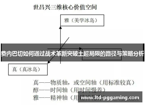 费内巴切如何通过战术革新突破土超局限的路径与策略分析
