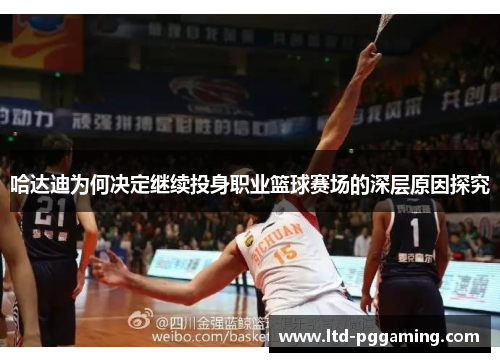 哈达迪为何决定继续投身职业篮球赛场的深层原因探究