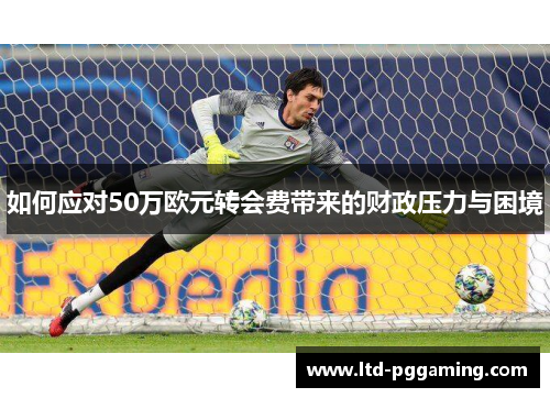 如何应对50万欧元转会费带来的财政压力与困境