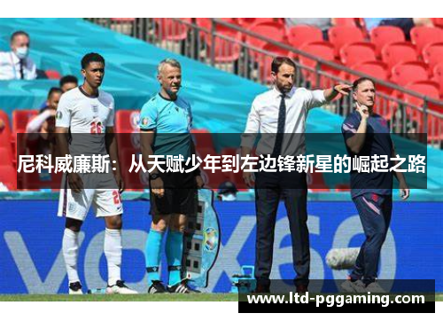 尼科威廉斯：从天赋少年到左边锋新星的崛起之路