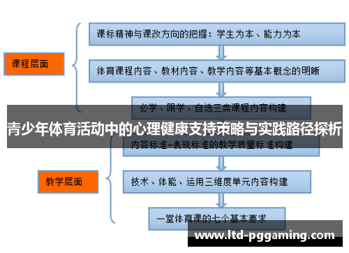 青少年体育活动中的心理健康支持策略与实践路径探析
